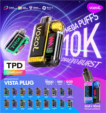 Vozol Vista Plug 10000